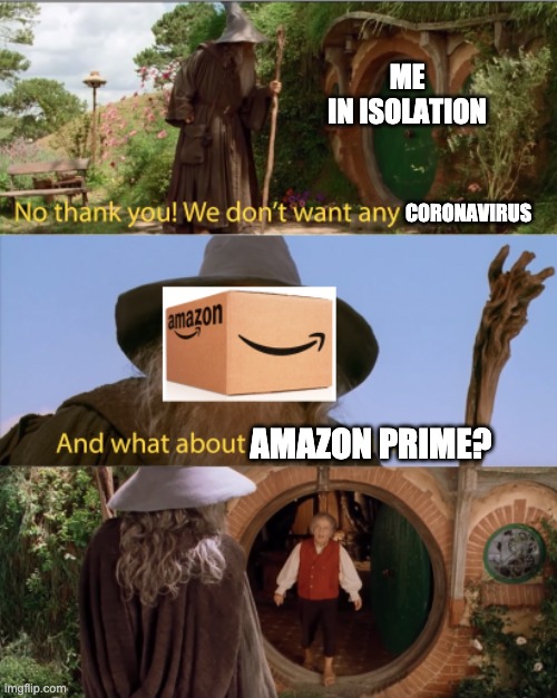 When you put yourself in voluntary isolation... | ME
IN ISOLATION; CORONAVIRUS; AMAZON PRIME? | image tagged in lotr,no thank you,bilbo,very old friends,coronavirus,gandalf | made w/ Imgflip meme maker