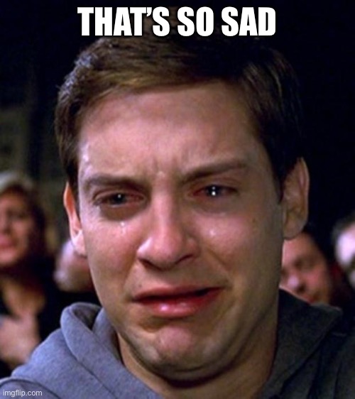 crying peter parker | THAT’S SO SAD | image tagged in crying peter parker | made w/ Imgflip meme maker