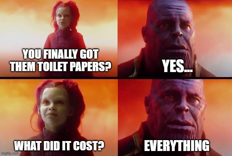 What did it cost? | YOU FINALLY GOT THEM TOILET PAPERS? YES... EVERYTHING; WHAT DID IT COST? | image tagged in what did it cost | made w/ Imgflip meme maker