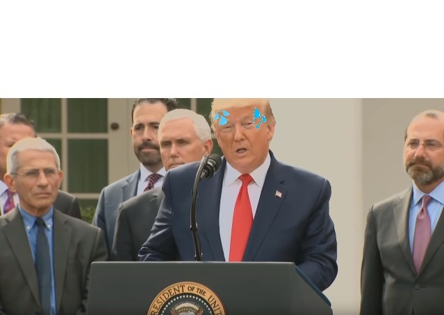 Trump Coronavirus National Emergency Inflicted With Coronavirus Blank Meme Template