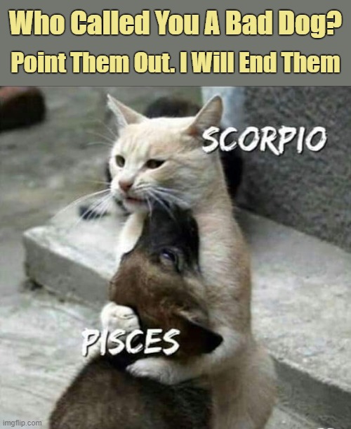 "Scorpios" The Guardians Of The Water Signs. Always Protecting Pisces And Cancers. They Would protect You With Their Lives. | Who Called You A Bad Dog? Point Them Out. I Will End Them | image tagged in memes,scorpio,pisces,cancer,astrology,guardian | made w/ Imgflip meme maker