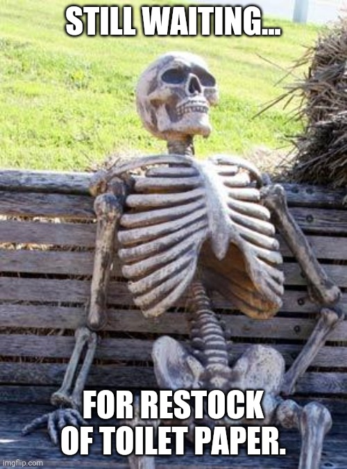 Waiting Skeleton Meme | STILL WAITING... FOR RESTOCK OF TOILET PAPER. | image tagged in memes,waiting skeleton | made w/ Imgflip meme maker