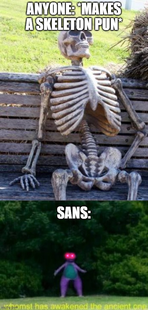 ANYONE: *MAKES A SKELETON PUN*; SANS: | image tagged in memes,waiting skeleton | made w/ Imgflip meme maker