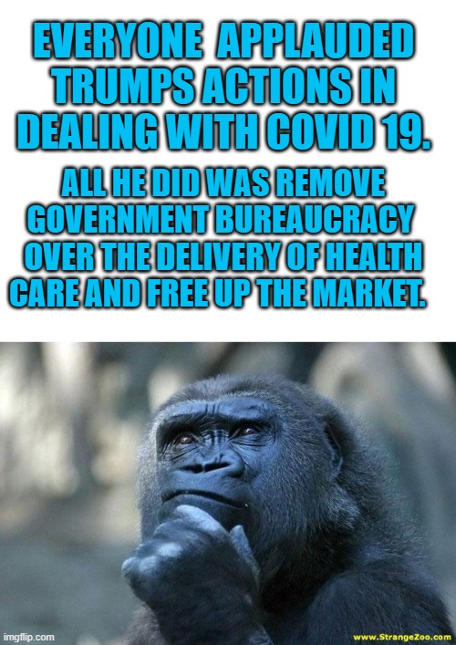 EVERYONE  APPLAUDED TRUMPS ACTIONS IN DEALING WITH COVID 19. ALL HE DID WAS REMOVE GOVERNMENT BUREAUCRACY  OVER THE DELIVERY OF HEALTH CARE AND FREE UP THE MARKET. | image tagged in blank white template,deep thoughts | made w/ Imgflip meme maker