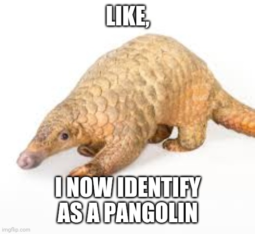 LIKE, I NOW IDENTIFY AS A PANGOLIN | image tagged in coronavirus | made w/ Imgflip meme maker