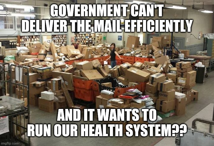 post office | GOVERNMENT CAN'T DELIVER THE MAIL EFFICIENTLY AND IT WANTS TO RUN OUR HEALTH SYSTEM?? | image tagged in post office | made w/ Imgflip meme maker