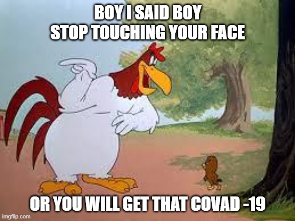 Foghorn Leghorn | BOY I SAID BOY STOP TOUCHING YOUR FACE; OR YOU WILL GET THAT COVAD -19 | image tagged in foghorn leghorn | made w/ Imgflip meme maker