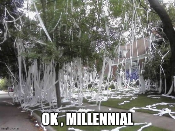 Toilet papered house | OK , MILLENNIAL | image tagged in toilet papered house | made w/ Imgflip meme maker
