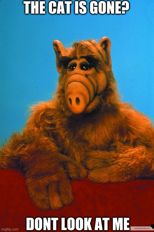 ALF | THE CAT IS GONE? DONT LOOK AT ME | image tagged in memes,headbanzer,alf,cats | made w/ Imgflip meme maker