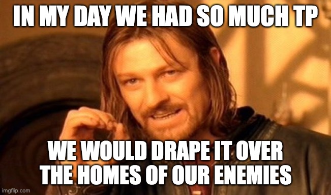 One Does Not Simply | IN MY DAY WE HAD SO MUCH TP; WE WOULD DRAPE IT OVER THE HOMES OF OUR ENEMIES | image tagged in memes,one does not simply | made w/ Imgflip meme maker