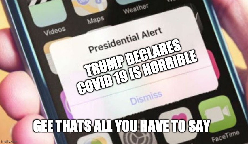 Presidential Alert | TRUMP DECLARES COVID 19 IS HORRIBLE; GEE THATS ALL YOU HAVE TO SAY | image tagged in memes,presidential alert | made w/ Imgflip meme maker