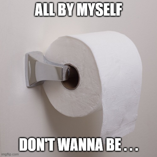 Toilet Paper - Single Roll | ALL BY MYSELF; DON'T WANNA BE . . . | image tagged in toilet paper - single roll | made w/ Imgflip meme maker