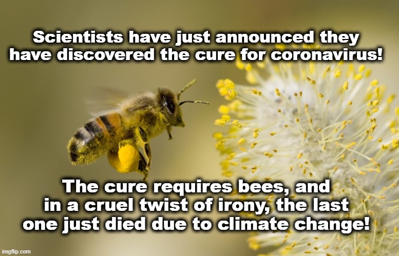 coronavirus cure zapped! | Scientists have just announced they have discovered the cure for coronavirus! The cure requires bees, and in a cruel twist of irony, the last one just died due to climate change! | image tagged in coronavirus,bees,climate change | made w/ Imgflip meme maker