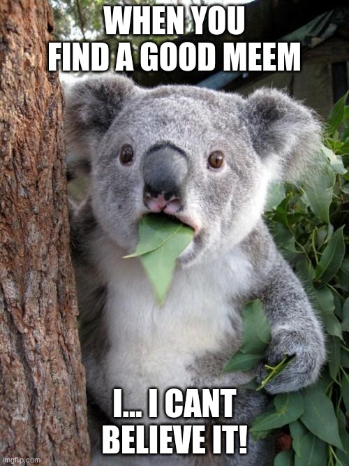 Surprised Koala | WHEN YOU FIND A GOOD MEEM; I... I CANT BELIEVE IT! | image tagged in memes,surprised koala | made w/ Imgflip meme maker