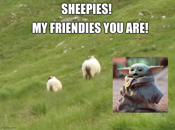 MY FRIENDIES YOU ARE! SHEEPIES! | image tagged in baby yoda | made w/ Imgflip meme maker