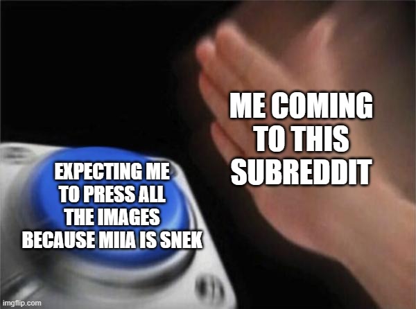 Blank Nut Button Meme | ME COMING TO THIS SUBREDDIT; EXPECTING ME TO PRESS ALL THE IMAGES BECAUSE MIIA IS SNEK | image tagged in memes,blank nut button | made w/ Imgflip meme maker