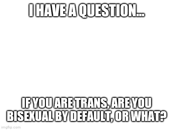 Blank White Template | I HAVE A QUESTION... IF YOU ARE TRANS, ARE YOU BISEXUAL BY DEFAULT, OR WHAT? | image tagged in blank white template | made w/ Imgflip meme maker