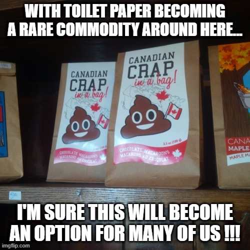 WITH TOILET PAPER BECOMING A RARE COMMODITY AROUND HERE... I'M SURE THIS WILL BECOME AN OPTION FOR MANY OF US !!! | image tagged in crap in a bag,poop | made w/ Imgflip meme maker