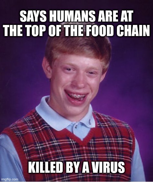 Humans are top of the food chain? | SAYS HUMANS ARE AT THE TOP OF THE FOOD CHAIN; KILLED BY A VIRUS | image tagged in memes,bad luck brian,coronavirus,vegan | made w/ Imgflip meme maker