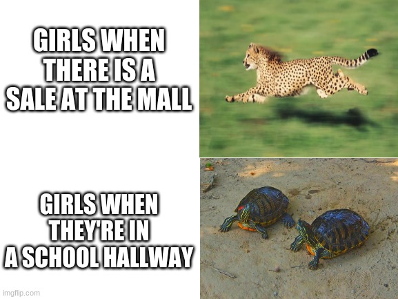 Blank White Template | GIRLS WHEN THERE IS A SALE AT THE MALL; GIRLS WHEN THEY'RE IN A SCHOOL HALLWAY | image tagged in blank white template | made w/ Imgflip meme maker