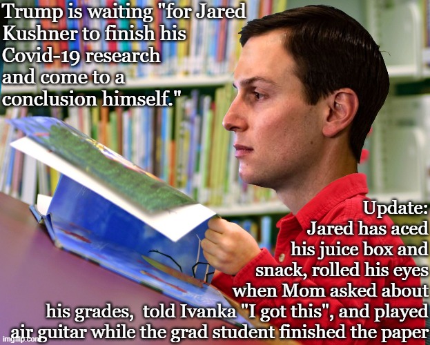 Jared Kushner | Trump is waiting "for Jared
Kushner to finish his
Covid-19 research
and come to a 
conclusion himself."; Update:
Jared has aced
his juice box and
snack, rolled his eyes
when Mom asked about
his grades,  told Ivanka "I got this", and played
air guitar while the grad student finished the paper | image tagged in jared kushner | made w/ Imgflip meme maker