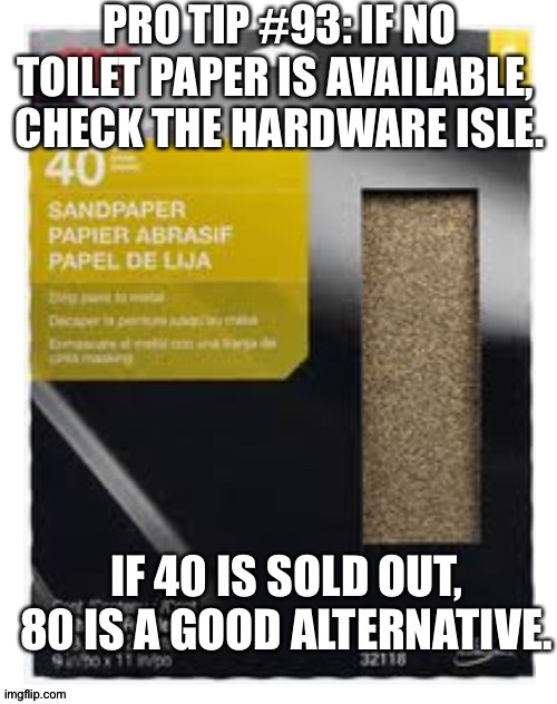 Toilet paper | PRO TIP #93: IF NO TOILET PAPER IS AVAILABLE, 
CHECK THE HARDWARE ISLE. IF 40 IS SOLD OUT, 80 IS A GOOD ALTERNATIVE. | image tagged in toilet paper | made w/ Imgflip meme maker