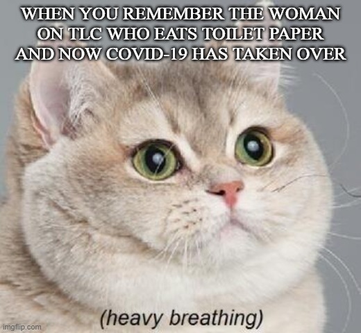 She'll Be Hungry For A While | WHEN YOU REMEMBER THE WOMAN ON TLC WHO EATS TOILET PAPER AND NOW COVID-19 HAS TAKEN OVER | image tagged in memes,heavy breathing cat | made w/ Imgflip meme maker