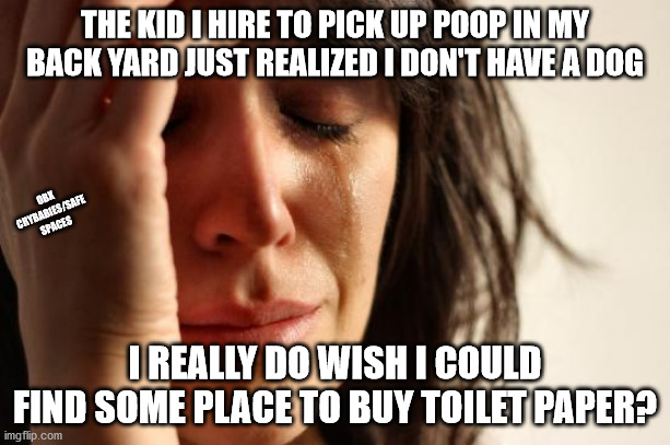 My neighbors don't like me | THE KID I HIRE TO PICK UP POOP IN MY BACK YARD JUST REALIZED I DON'T HAVE A DOG; OBX CRYBABIES/SAFE SPACES; I REALLY DO WISH I COULD FIND SOME PLACE TO BUY TOILET PAPER? | image tagged in memes,first world problems,covid-19,poop,tp for my bunghole | made w/ Imgflip meme maker