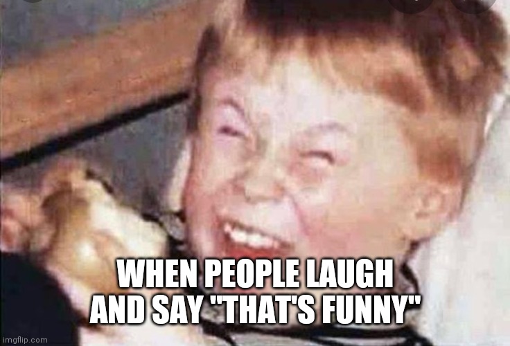 WHEN PEOPLE LAUGH AND SAY "THAT'S FUNNY" | image tagged in funny | made w/ Imgflip meme maker