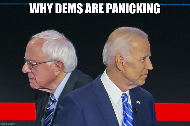 Sanders and Biden | WHY DEMS ARE PANICKING | image tagged in sanders and biden | made w/ Imgflip meme maker