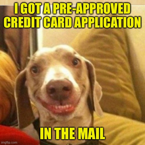 big smile doggie | I GOT A PRE-APPROVED CREDIT CARD APPLICATION IN THE MAIL | image tagged in big smile doggie | made w/ Imgflip meme maker