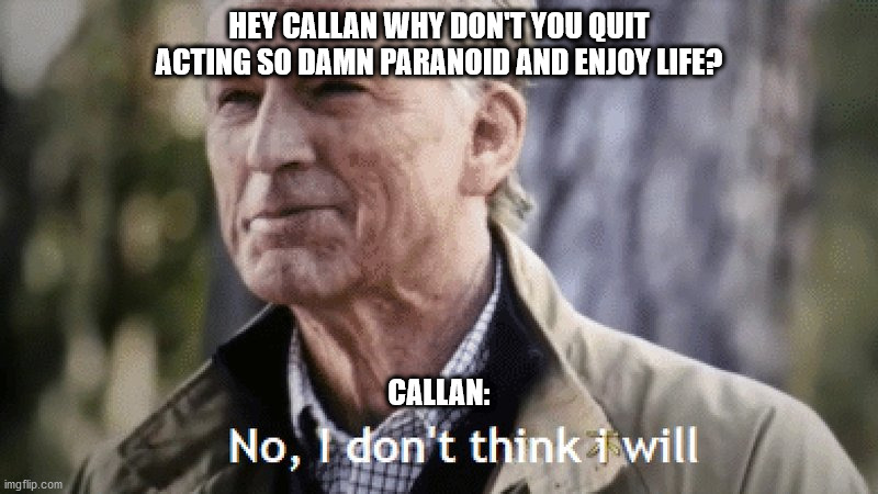 No, i dont think i will | HEY CALLAN WHY DON'T YOU QUIT ACTING SO DAMN PARANOID AND ENJOY LIFE? CALLAN: | image tagged in no i dont think i will | made w/ Imgflip meme maker