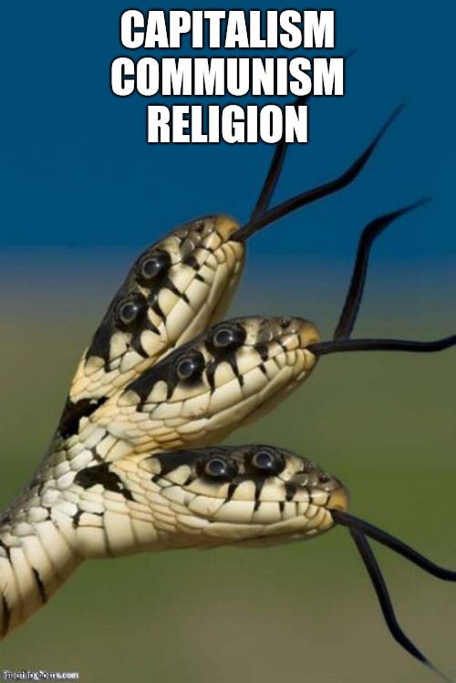 Beware of the Snake | CAPITALISM
COMMUNISM
RELIGION | image tagged in snake,capitalism,communism,religion | made w/ Imgflip meme maker