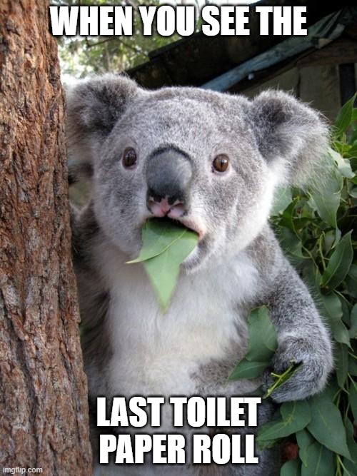Surprised Koala Meme | WHEN YOU SEE THE; LAST TOILET PAPER ROLL | image tagged in memes,surprised koala | made w/ Imgflip meme maker