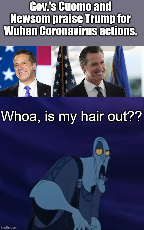 Gettin' Cold Down There,
but good for them! | Gov.'s Cuomo and Newsom praise Trump for Wuhan Coronavirus actions. Whoa, is my hair out?? | image tagged in coronavirus | made w/ Imgflip meme maker