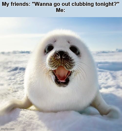 My friends: "Wanna go out clubbing tonight?"
Me: | made w/ Imgflip meme maker