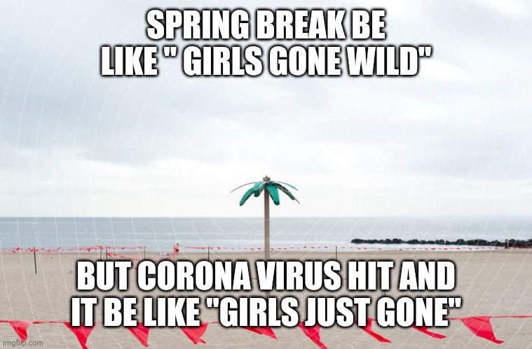SPRING BREAK BE LIKE " GIRLS GONE WILD"; BUT CORONA VIRUS HIT AND IT BE LIKE "GIRLS JUST GONE" | image tagged in covid-19,spring break,funny,virus,coronavirus | made w/ Imgflip meme maker