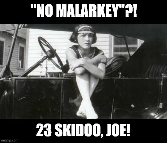 "NO MALARKEY"?! 23 SKIDOO, JOE! | made w/ Imgflip meme maker