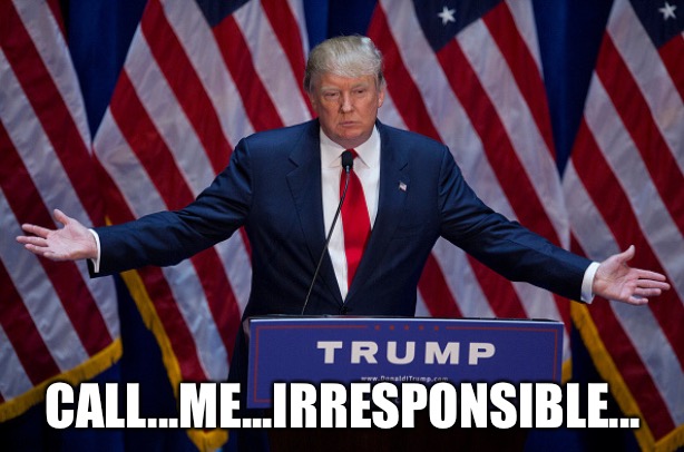 Donald Trump | CALL...ME...IRRESPONSIBLE... | image tagged in donald trump | made w/ Imgflip meme maker
