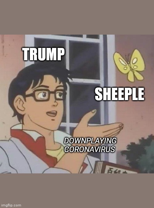 Is This A Pigeon Meme | TRUMP; SHEEPLE; DOWNPLAYING CORONAVIRUS | image tagged in memes,is this a pigeon | made w/ Imgflip meme maker