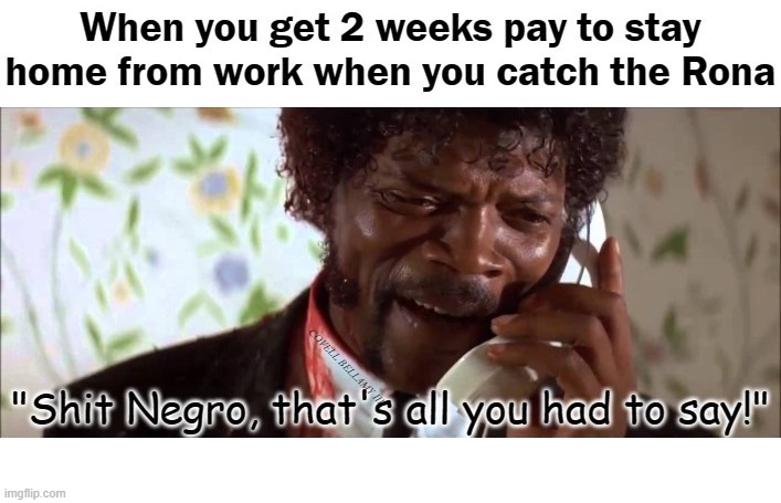 Samuel L Jackson Paid For Catching The Rona | image tagged in samuel l jackson paid for catching the rona | made w/ Imgflip meme maker