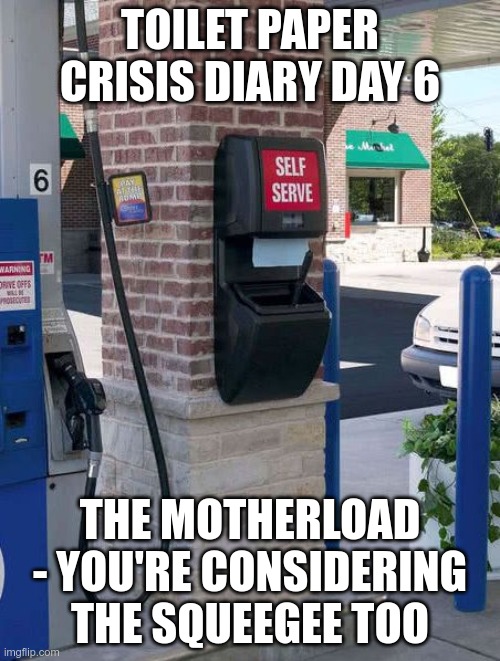 Gas Station Squeegee Car Wash | TOILET PAPER CRISIS DIARY DAY 6; THE MOTHERLOAD - YOU'RE CONSIDERING THE SQUEEGEE TOO | image tagged in gas station squeegee car wash | made w/ Imgflip meme maker