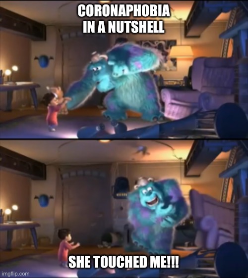 CORONAPHOBIA IN A NUTSHELL; SHE TOUCHED ME!!! | image tagged in coronavirus,monsters inc | made w/ Imgflip meme maker