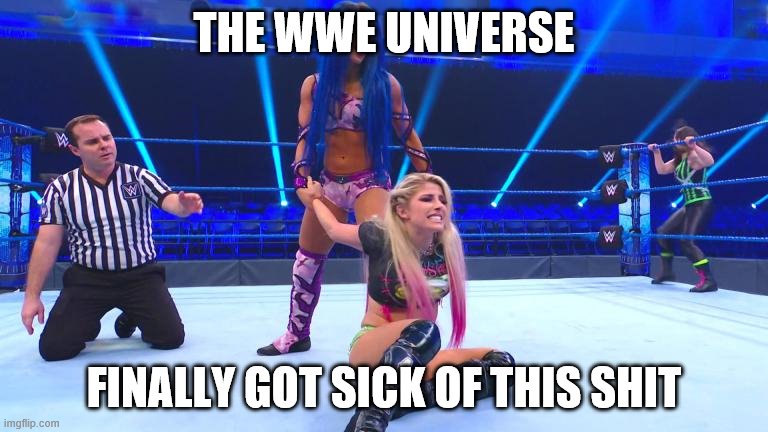 Looks like.... | THE WWE UNIVERSE; FINALLY GOT SICK OF THIS SHIT | image tagged in wwe,pro wrestling,wrestlemania,aew | made w/ Imgflip meme maker