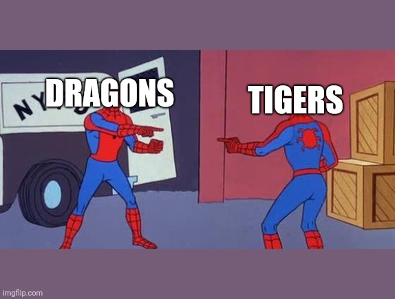 Spider Man Double | DRAGONS; TIGERS | image tagged in spider man double | made w/ Imgflip meme maker