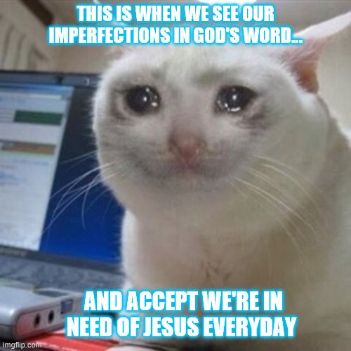 Crying cat | THIS IS WHEN WE SEE OUR IMPERFECTIONS IN GOD'S WORD... AND ACCEPT WE'RE IN NEED OF JESUS EVERYDAY | image tagged in crying cat | made w/ Imgflip meme maker