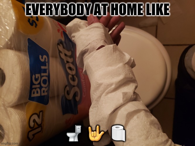 EVERYBODY AT HOME LIKE; 🚽  🤟  🧻 | image tagged in toilet humor | made w/ Imgflip meme maker