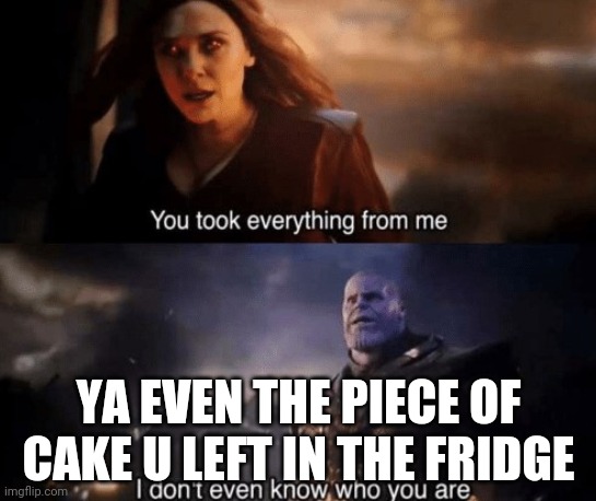 you took everything from me | YA EVEN THE PIECE OF CAKE U LEFT IN THE FRIDGE | image tagged in you took everything from me | made w/ Imgflip meme maker