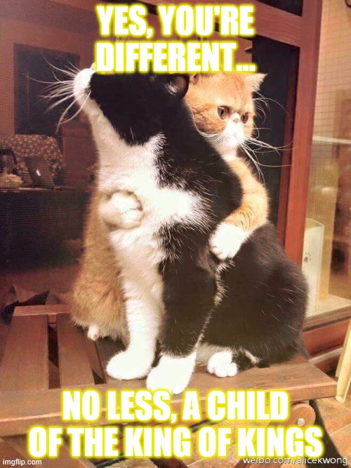 cats hugging | YES, YOU'RE DIFFERENT... NO LESS, A CHILD OF THE KING OF KINGS | image tagged in cats hugging | made w/ Imgflip meme maker