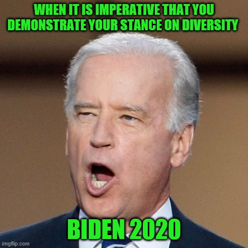 joe biden  | WHEN IT IS IMPERATIVE THAT YOU DEMONSTRATE YOUR STANCE ON DIVERSITY; BIDEN 2020 | image tagged in joe biden | made w/ Imgflip meme maker